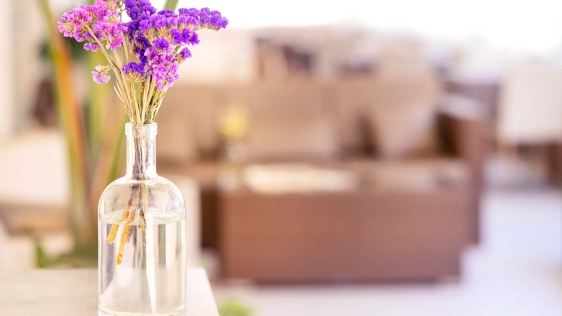 Hotel The Sky - Adults Only Cala Ratjada  Cala Ratjada (Mallorca)